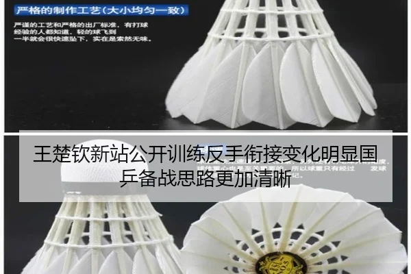 王楚钦新站公开训练反手衔接变化明显国乒备战思路更加清晰