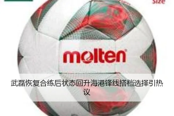武磊恢复合练后状态回升海港锋线搭档选择引热议